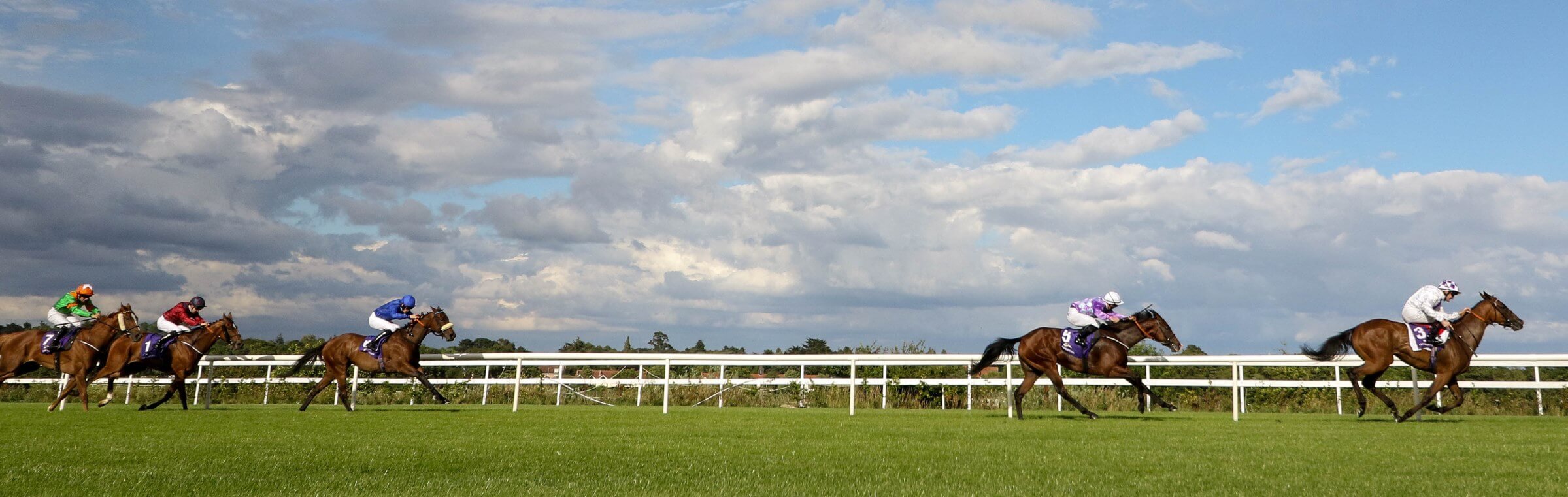 Registration Forms Horse Racing Ireland